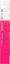 Róż Magenta