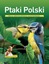 Ptaki Poľský. Mała encyklopedia ilustrowana Andrzej G. Kruszewicz