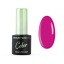 Cosmetics Zone