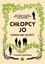 Chlapci Chłopcy Jo Louisa May Alcott