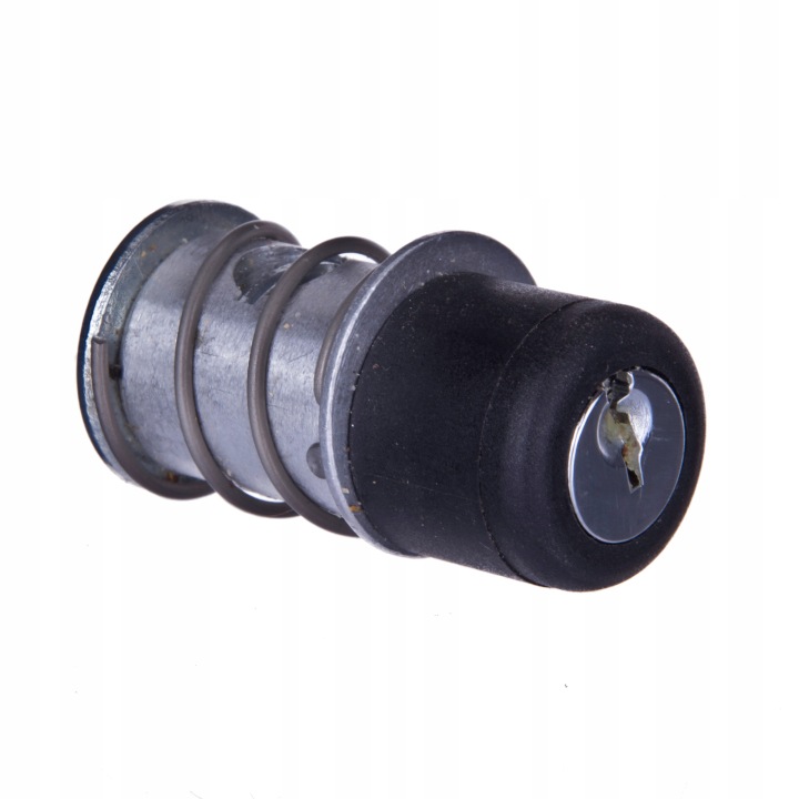 SEMELLE SERRURE ZETOR PROXIMA FORTERRA 10368901