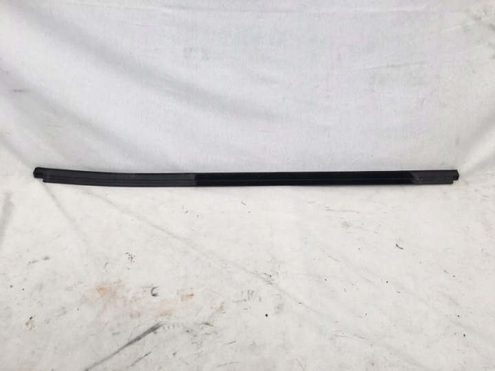 BMW X5 G05 18 MOULURE PORTES RACLOIR ARRIÈRE GAUCHE