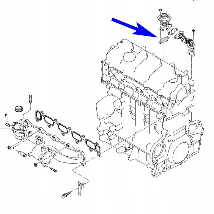 Z_EGR_02B/e BRIDA CIEGA EGR KIA HYUNDAI 1.5 2.0 CRDI D4EA 