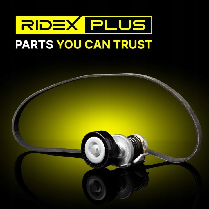 RIDEX PLUS 542R0174P KIT COURROIE CUNÉIFORME POLYWEDGE