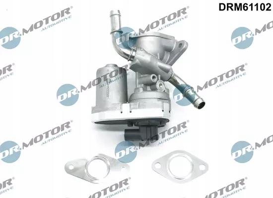 DR.MOTOR VÁLVULA EGR DRM61102 