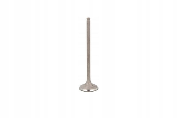 FRECCIA R6556/RNT SOUPAPE ÉCHAPPEMENT HONDA