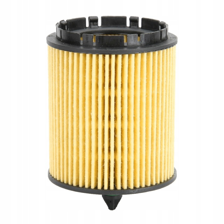 REMPLACEMENT FILTRE HUILES MOTEUR 93175493 12605566 12605565 CONVIENT VERS 06
