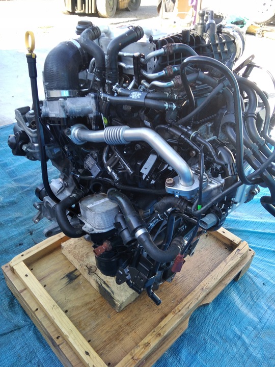 MOTOR 2.0 TDI CXF T6 MOTOR 17R 76 TSKM SUBSTITUTO GARANTÍA 