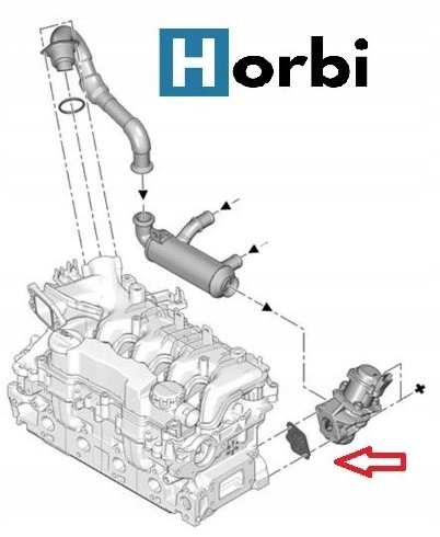 BRIDA CIEGA EGR PEUGEOT FORD CITROEN HDI TDCI 008 
