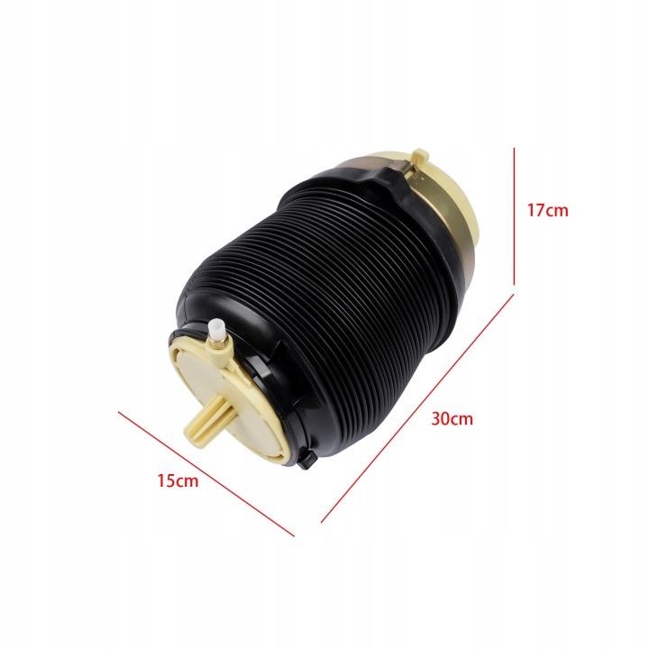 SAC SUSPENSIONS MIECHA RESSORTS AIR ARRIÈRE AUDI A6 C6 2004-2011 4F0616001J