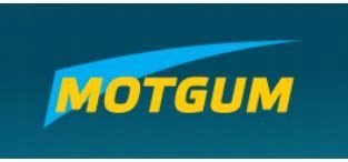 MOTGUM ESSUIE-GLACES POIGNÉE PLAT PREMIUM 350MM JEU ADAPTE