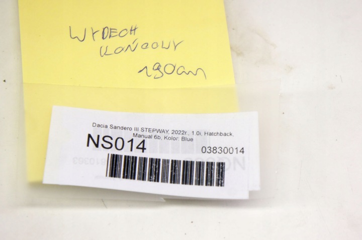 NS014 DACIA SANDERO III 1.0I SILENCIEUX CATALYSEUR