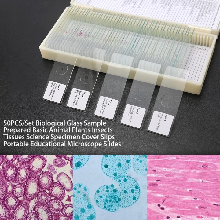 50PCS/ZESTAW PROBKA SZKLANA BIOLOGICZNA PRZYGOTOWANIE PODSTAWOWE MF