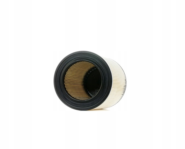 RIDEX 8A0264 FILTRE AIR