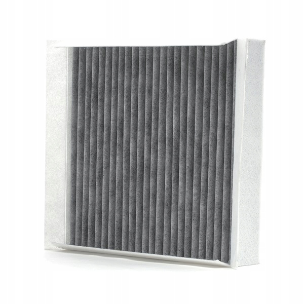 RIDEX 424I0319 FILTRE VENTILATION ESPACES PASAZERSKIEJ FILTRE AVEC WEGLEM