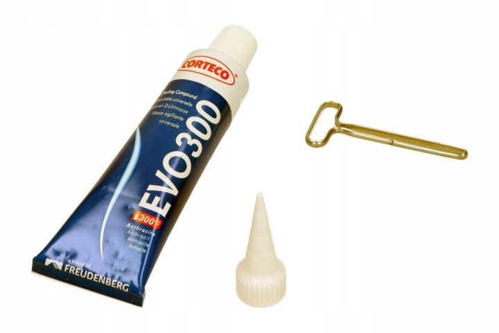 EVO300P PÂTE ÉTANCHÉITÉ 70ML SILICONE