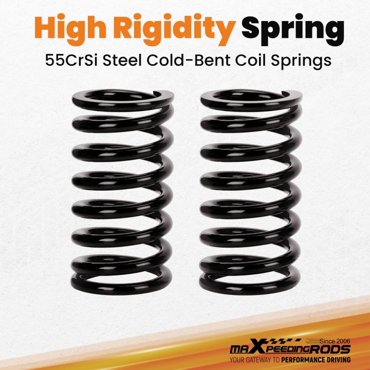 RÉGLABLE AMORTISSEURS TYPE COILOVER VERS FORDA MUSTANGA GT S-197 05-14