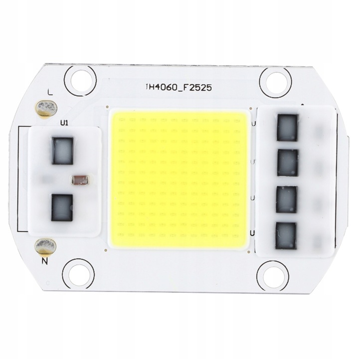 MODULE LED DIODE 220V 100W BLANC MAKARON GRATUIT
