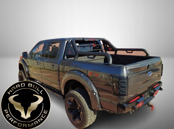 ROLL BAR CANALISATIONS HARD BULL PERFORMANCE F47 FORD F150 F-150 04-24