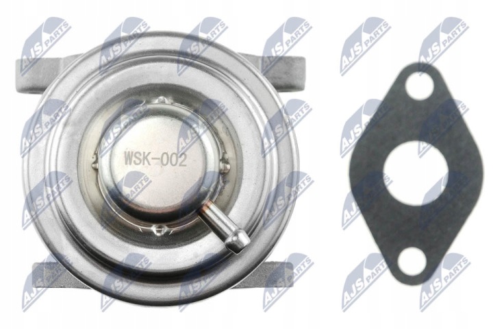 NTY EGR-SK-002 SOUPAPE AGR