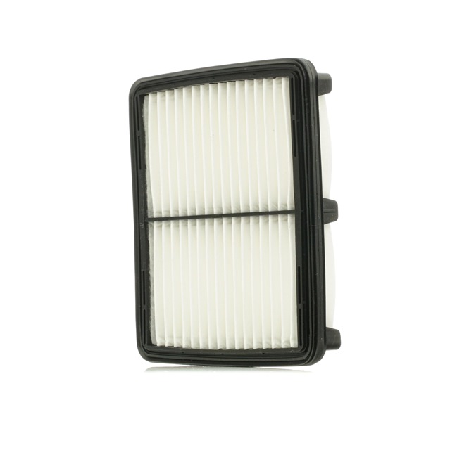 RIDEX 8A0244 FILTRE AIR