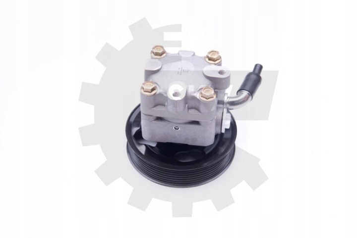 POMPE AMPLIFICATEUR MURANO II 3.5 4X4 491101AA0A