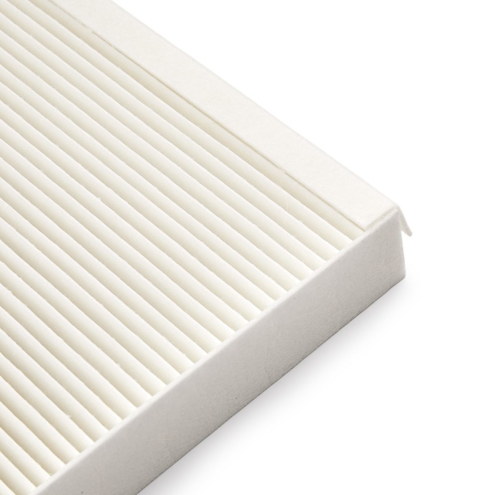 RIDEX 424I0055 FILTRE VENTILATION ESPACES PASAZERSKIEJ