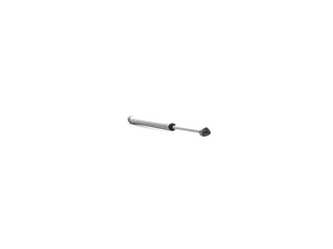 SERVOMOTEUR COUVERCLES DE COFFRE COUVERCLES DE COFFRE RIDEX VERS FIAT ULYSSE (179) 631MM