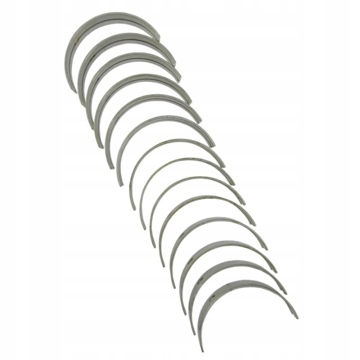 ENSEMBLE COUSSINETS GLOWNYCH N-0,25 BIZON SW400, SW400T, 6CT10 ANDORIA