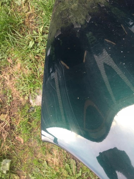 MERCEDES E W211 CAPOT PEINTURE 189