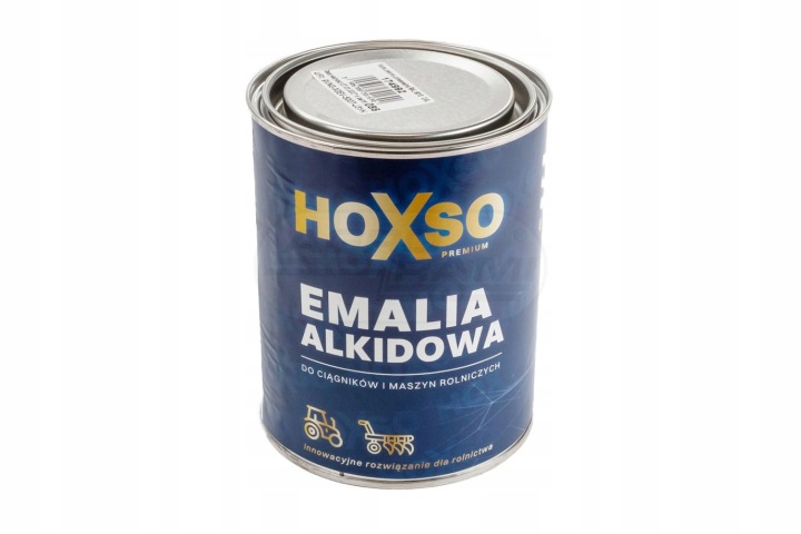 PEINTURE VERTE UNIVERSELLE HOXSO RAL 6010 9988161 HOXSO