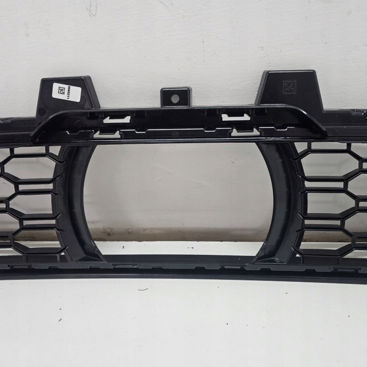 GRILLE CENTRALE PARE-CHOCS AVANT BMW X5 G05 8069211