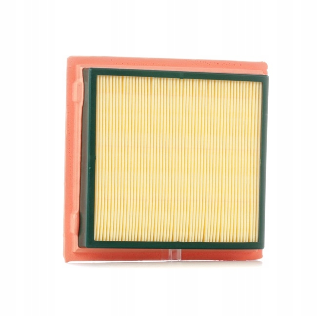 RIDEX 8A0049 FILTRE AIR VERS NISSAN MICRA III (K12) NOTE (E11, NE11)