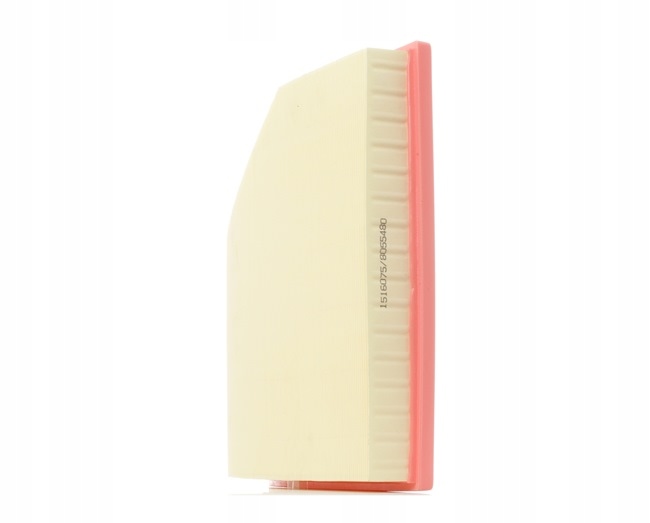RIDEX 8A0450 FILTRE AIR
