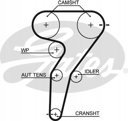 KIT COURROIE DISTRIBUTION GATES K065429XS