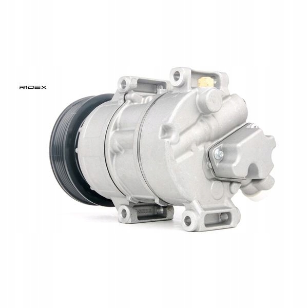 RIDEX 447K0019 COMPRESSEUR DE CLIMATISATION 5SL12C PAG 46 R134A