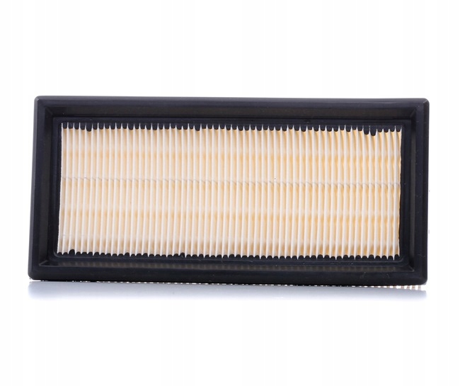 RIDEX 8A0140 FILTRE AIR