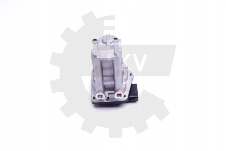 SKV VANNE EGR TOYOTA HILUX VII LAND CRUISER PRADO 2580030200
