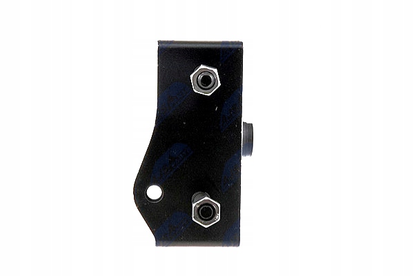 COUSSIN MOTEUR ENG.2.0 2.0D 2.4 TOYOTA RAV-4 A2 01-05 ARRIÈRE NTY