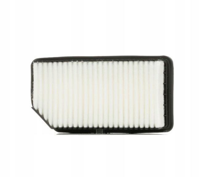 RIDEX 8A0191 FILTRE AIR VERS HYUNDAI I20 (PB, PBT) VERS KIA VENGA (YN)