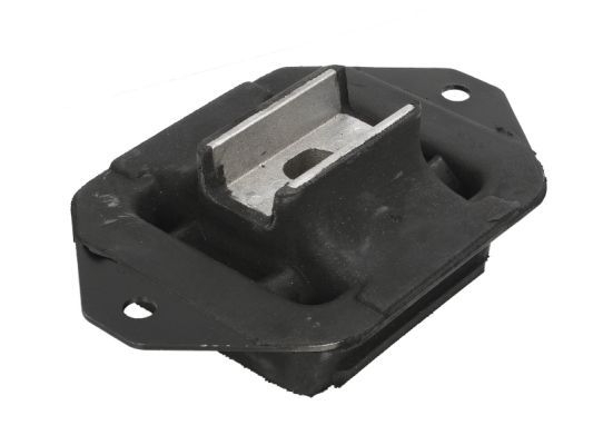 TEDGUM 00221234 FIXATION SUPPORT MECHANICZNEJ BOÎTE DE VITESSES 00221234
