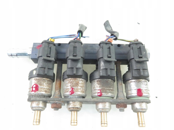 MOULURE INJECTION LPG ALEX 67R016407