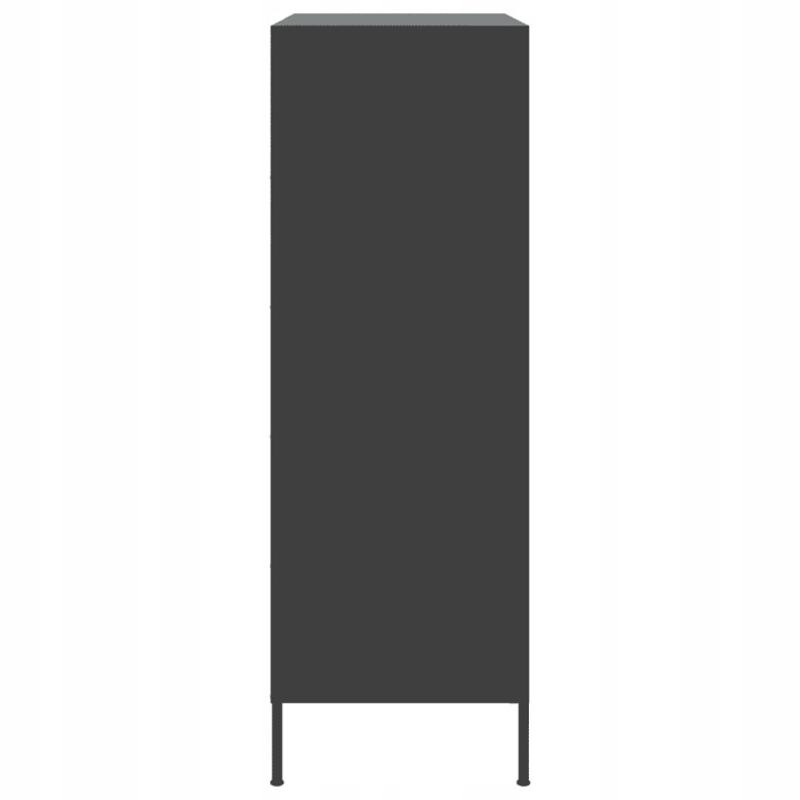 VIDAXL CASIER NOIRE 68X39X113 CM, ACIER