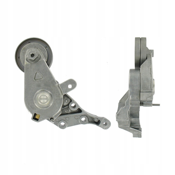 SKF VKM 31018 GALET TENDEUR COURROIE EN V MULTICANAL