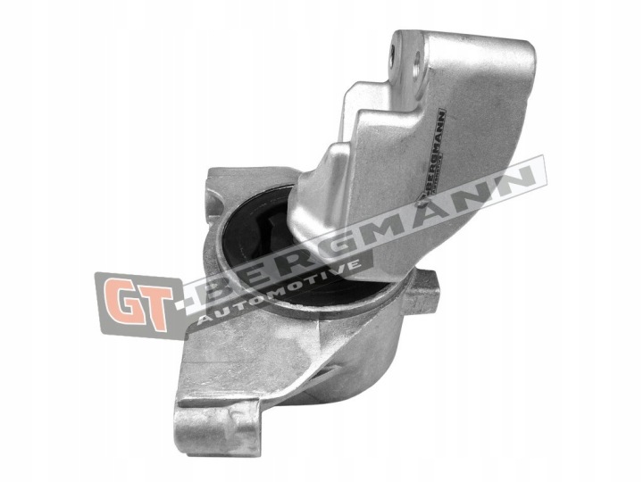 GT-BERGMANN GT25-038 LOZYSKOWANIE MOTEUR