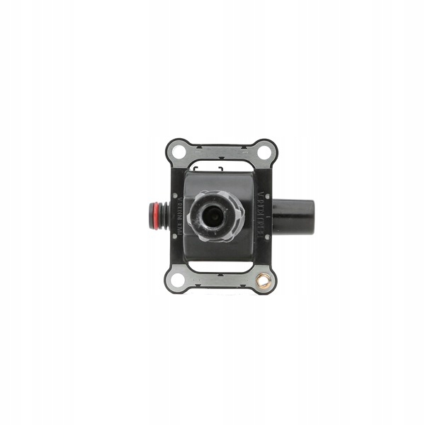 BOBINE ALLUMAGE BORGWARNER ZS340