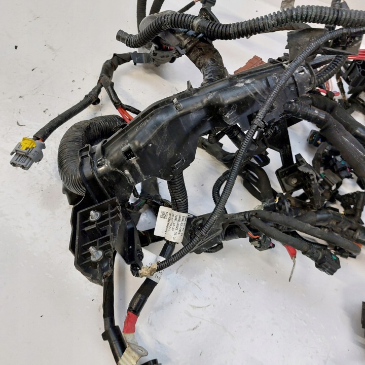 RENAULT ARKANA 1,3TCE CONDUITES DE DÉRIVATION FAISCEAU DE CÂBLES INSTALLATION ÉLECTRIQUE MOTEUR