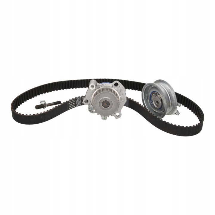 KIT DISTRIBUTION AVEC POMPE VKMC01113-2/SKF