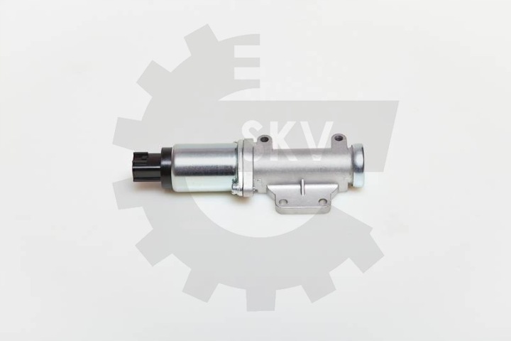 MOTEUR PAS À PAS 08SKV218 SKV
