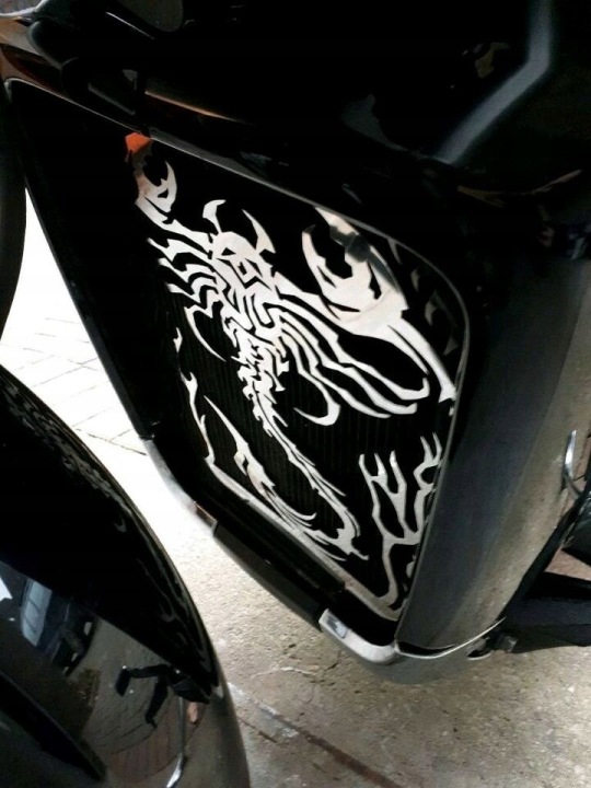 SUZUKI VZR M1800R PROTECTION RADIATEUR (NIESTANDARDOWY ÉCHANTILLON NAJLEPSZE LOGO CENOWE)